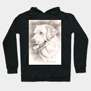 Labrador Retriever Hoodie